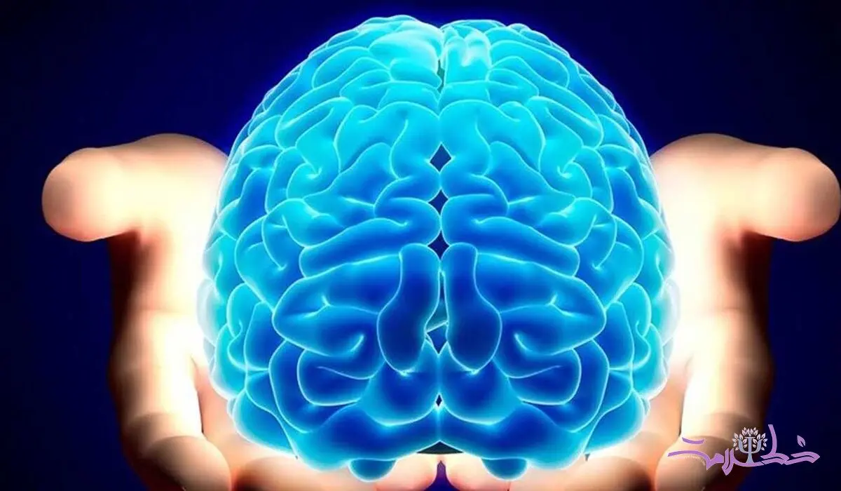  راهکار خانگی کاهش علائم آلزایمر بدون هزینه و دارو