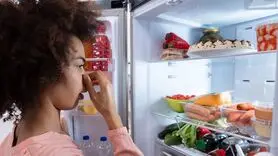 چگونه یخچال و فریزر خوشبو داشته باشیم؟