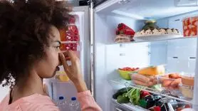 چگونه یخچال و فریزر خوشبو داشته باشیم؟