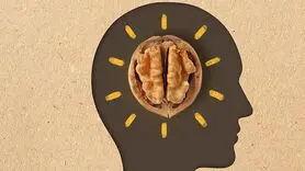فرار از چنگ آلزایمر با خوردن روزانه این ماده غذایی