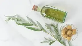 ویژگی‌های روغن زیتونی مفید + جدول راهنمای انتخاب روغن زیتون
