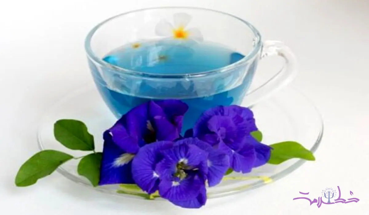 گل گاو زبان برای این 5 گروه سم است!