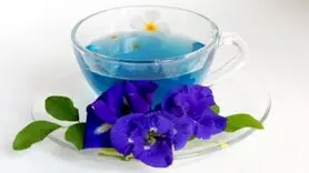گل گاو زبان برای این 5 گروه سم است!