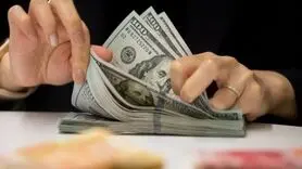 دولت رئیسی از رسیدن قیمت دلار به ۱۰۰ هزار تومان خبر داده بود!
