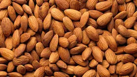 این دانه روغنی برای سیستم گوارش معجزه می کند