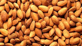 این دانه روغنی برای سیستم گوارش معجزه می کند