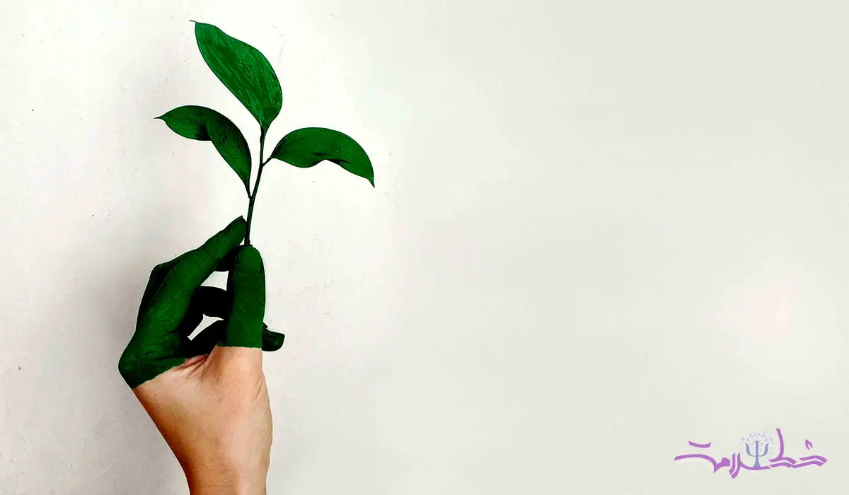چگونه می توان به خود شکوفایی رسید؟