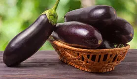 چه اتفاقی در بدن‌ عاشقن بادمجان می‌افتد؟