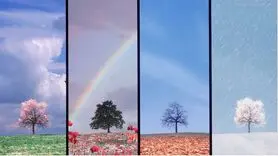 روانشناسی شخصیت / این خبر هشداری برای متولدین تمام ماهها است