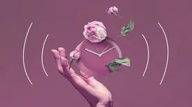 گر گرفتگی یائسگی را با این منو کاهش دهید 