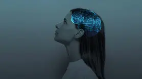 فیلم‌ سازان ذهنی شما چه کسانی هستند؟