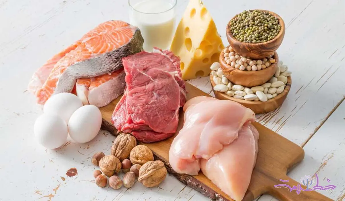 این 10 غذا پروتئین بیشتری از تخم مرغ دارند