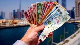 درهم امارات چند؟ قیمت درهم امارات امروز، سه‌شنبه ۱۴ اسفند ۱۴۰۳