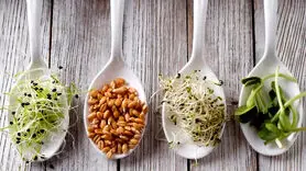 بهترین نسخه گیاهی برای حل مشکل نعوظ