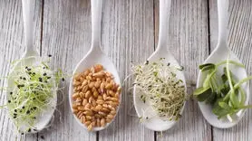بهترین نسخه گیاهی برای حل مشکل نعوظ