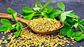 افزایش میل جنسی با یک سبزی در دسترس/آخرین یافته علمی