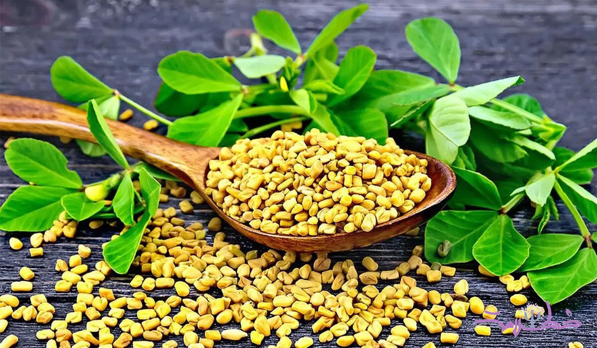 افزایش میل جنسی با یک سبزی در دسترس/آخرین یافته علمی