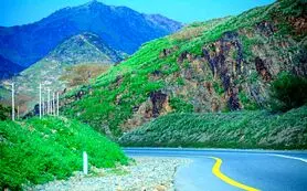 کوه‌های مکه با بارندگی شدید سبز شد + فیلم