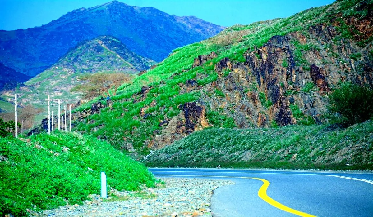 کوه‌های مکه با بارندگی شدید سبز شد + فیلم