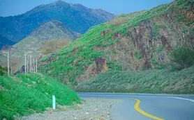 کوه‌های مکه با بارندگی شدید سبز شد + فیلم