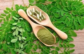 گیاهی شگفت‌انگیز که به کنترل قند خون کمک می کند