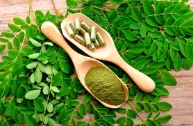 گیاهی شگفت‌انگیز که به کنترل قند خون کمک می کند