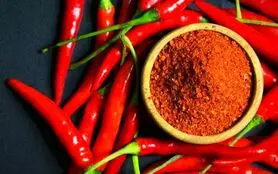 نسخه طبیعی برای کاهش دردهای میگرن