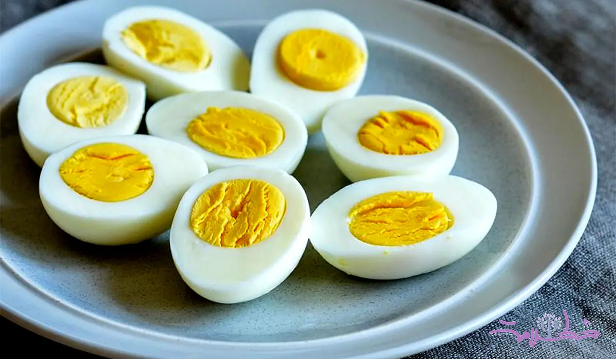 این رژیم پروتئینی را با اجازه دکتر بگیرید