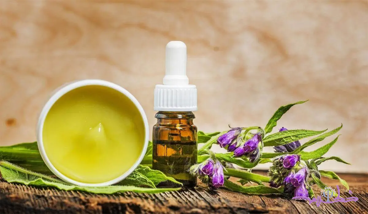 گوش خر را به کجای بدن تان بمالید؟