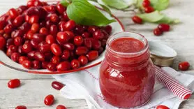  فواید خارق‌العاده شربت زغال‌اخته برای تقویت سیستم ایمنی