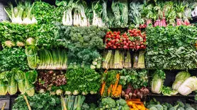 ویتامین ضد پیری را بشناسید + 9 ماده غذایی ویتامین جوانی