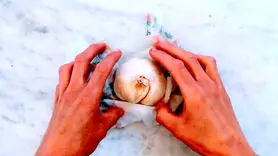 شخصیت شناسی / چه افرادی در روانشناسی شخصیت سیر را دارند!؟