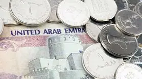 درهم امارات چند؟ / آخرین قیمت درهم امارات امروز یکشنبه 9 دی ماه 1403