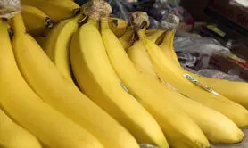 آیا خوردن موز باعث یبوست می‌شود؟