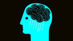 فیلم/ مغز افراد افسرده چه تغییری پیدا می کند؟