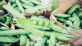 10 سبزی مفید برای رفع یبوست و بهبود سلامت روده