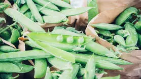 بهترین سبزیجات برای رفع یبوست