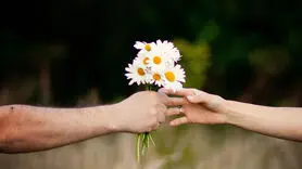برای افسرده ها چه گلی باید بخرید؟