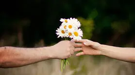 برای افسرده ها چه گلی باید بخرید؟