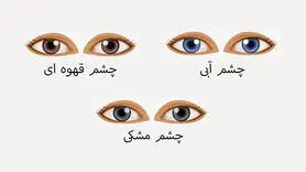 تست شخصیت / تشخیص ویژگی شخصیت از روی رنگ چشم!
