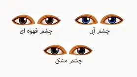 تست شخصیت / تشخیص ویژگی شخصیت از روی رنگ چشم!
