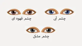 تست شخصیت / تشخیص ویژگی شخصیت از روی رنگ چشم!