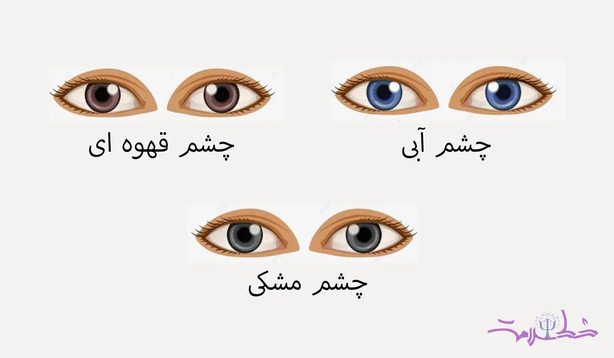 تست شخصیت / تشخیص ویژگی شخصیت از روی رنگ چشم!
