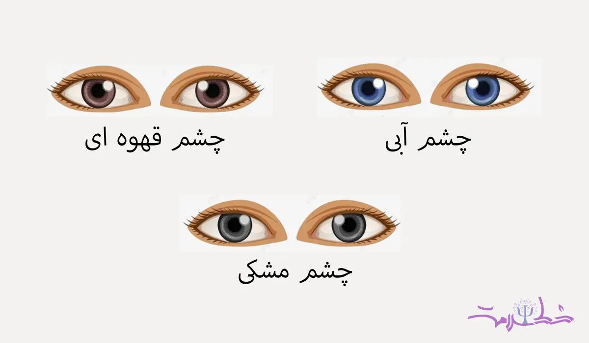 تست شخصیت / تشخیص ویژگی شخصیت از روی رنگ چشم!