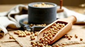 کاهش کلسترول با این پروتئین گیاهی