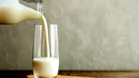 چرا رسانه‌های اجتماعی نوشیدن شیر خام را بی‌خطر می‌دانند؟