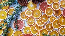  شش راه برای خشک کردن میوه / نیازی به هزینه سنگین نیست 