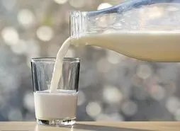 فواید و معایب نوشیدن شیر و عسل با هم 