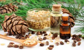 فواید روغن چوب سدر برای سلامت پوست و مو و بهبود خواب