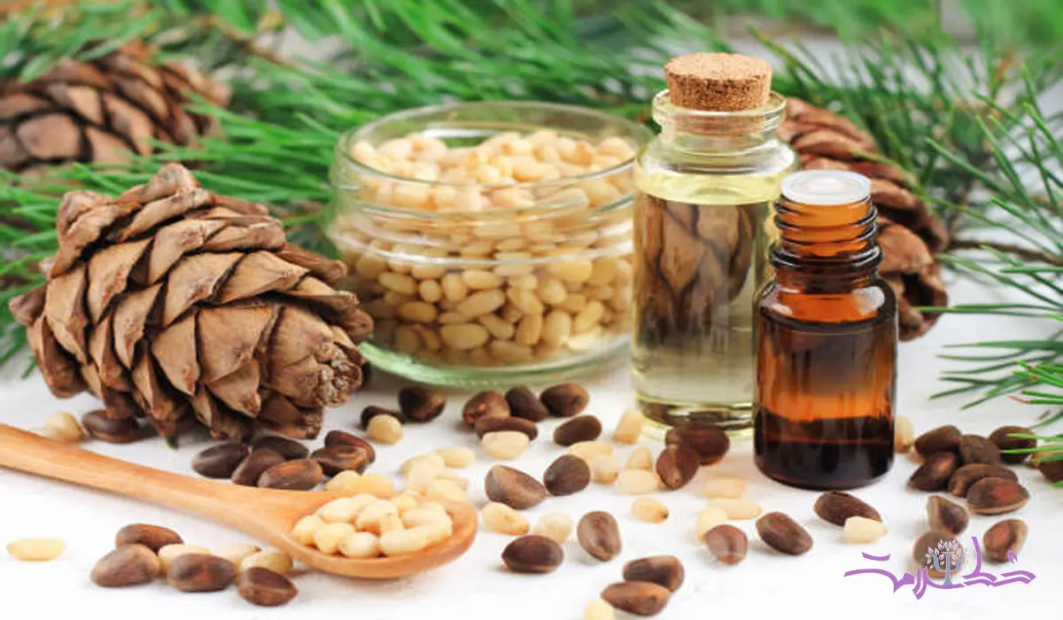 فواید روغن چوب سدر برای سلامت پوست و مو و بهبود خواب